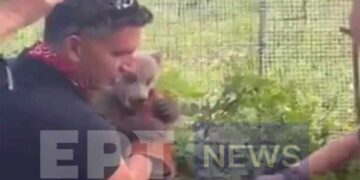 Αρκουδάκι έκανε βόλτες σε αυλή σπιτιού στο Εμπόριο Εορδαίας
