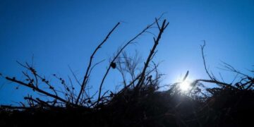 Χαμός με τα ακαθάριστα οικόπεδα, τις καταγγελίες και τη δήλωση στην πλατφόρμα