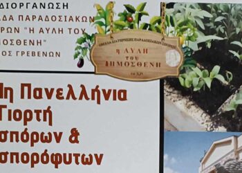 Δήμος Γρεβενών: Διοργανώνεται η 1η Πανελλήνια Γιορτή σπόρων και σπορόφυτων στο «Πάρκο των Μανιταριών»