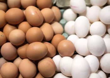 Επιστρέφουν οι διάσημες “αυγομαχίες” – Γιατί όλα τα αυγά πρέπει να είναι βρασμένα αλλά άβαφα