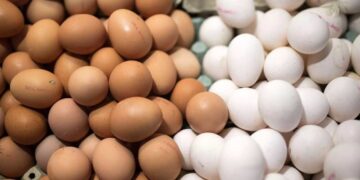 Επιστρέφουν οι διάσημες “αυγομαχίες” – Γιατί όλα τα αυγά πρέπει να είναι βρασμένα αλλά άβαφα