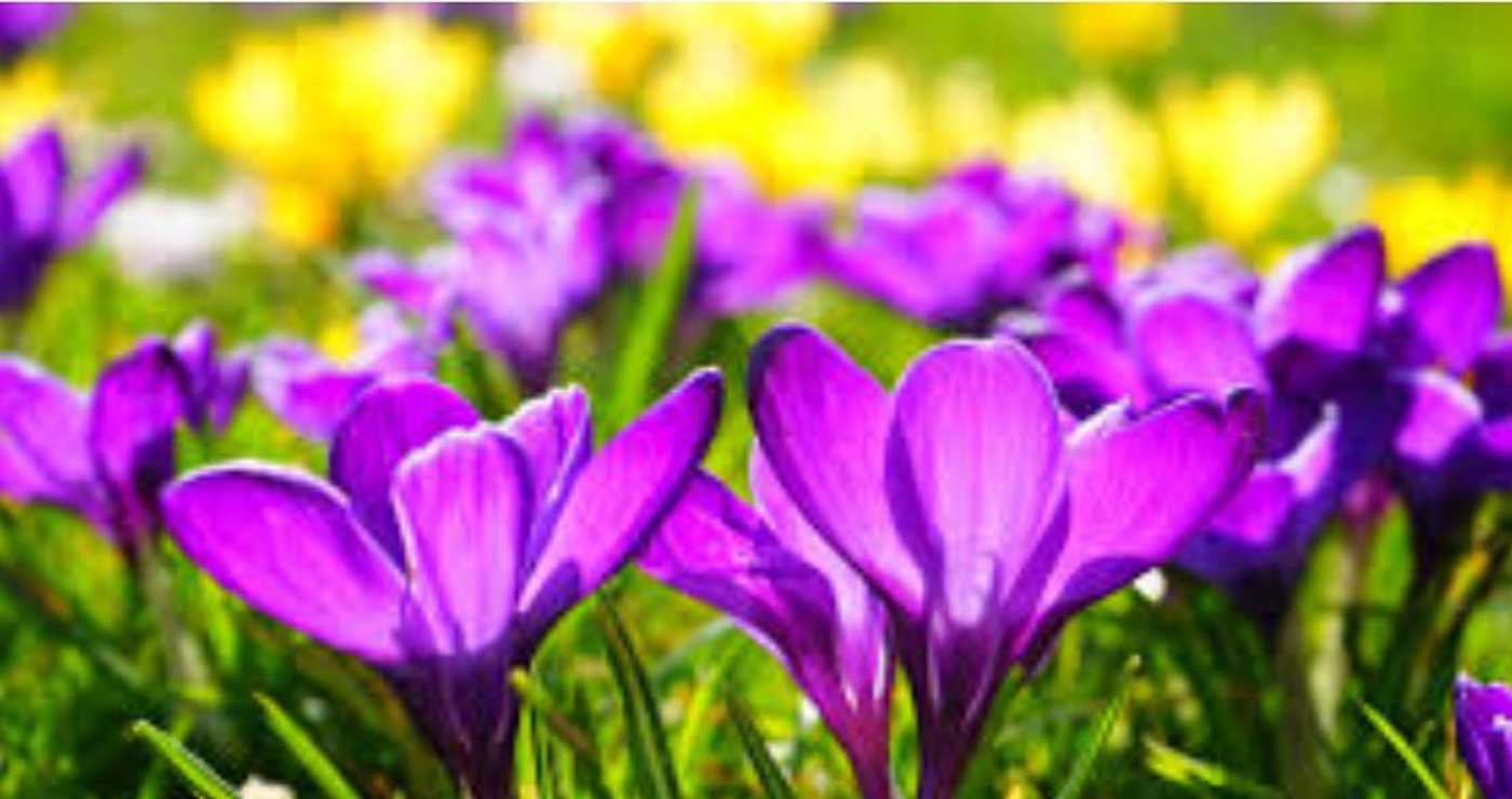 Καλό μήνα! Με υγεία και (μακάρι) ευχάριστες ειδήσεις!