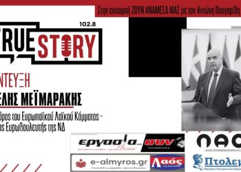 B. Μεϊμαράκης: «Μόνο η ΝΔ παράγει πολιτική για την Ελλάδα στην ΕΕ»