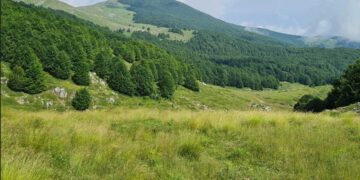 Ορειβατική Λέσχη Πτολεμαΐδας: Εξόρμηση με 2 επιλογές (18 & 8 χλμ)