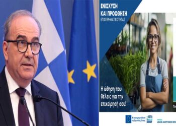 Προς έγκριση το 100% των προτάσεων στα μικρά προγράμματα του ΔΑΜ  – Τα πρώτα στατιστικά και η ικανοποίηση του Ν. Παπαθανάση