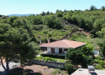 Στα κάγκελα ιδιοκτήτες και μηχανικοί για το πιστοποιητικό αντιπυρικής προστασίας: «Θα φάμε ξύλο, ανεφάρμοστα τα μέτρα, όλοι θα είναι παράνομοι»