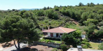 Στα κάγκελα ιδιοκτήτες και μηχανικοί για το πιστοποιητικό αντιπυρικής προστασίας: «Θα φάμε ξύλο, ανεφάρμοστα τα μέτρα, όλοι θα είναι παράνομοι»