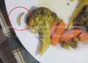 Λαμία: Σκουλήκι, άψητο μπιφτέκι και πούπουλα στις μερίδες που μοιράζονταν στους μαθητές