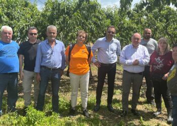 Στ. Παπασωτηρίου: «Άμεση ανταπόκριση του ΕΛΓΑ για την εκτίμηση ζημιών σε καλλιέργειες του Αμυνταίου, μετά την πρόσφατη χαλαζόπτωση»