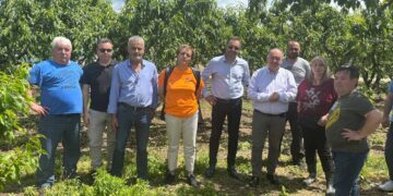 Στ. Παπασωτηρίου: «Άμεση ανταπόκριση του ΕΛΓΑ για την εκτίμηση ζημιών σε καλλιέργειες του Αμυνταίου, μετά την πρόσφατη χαλαζόπτωση»