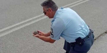 Συγκινητικές στιγμές στην Καστοριά: Viral ο αστυνομικός που βοήθησε χελωνάκι να περάσει με ασφάλεια τον δρόμο