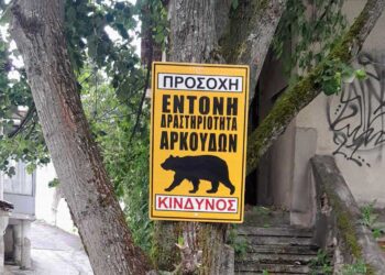 Τοποθετήθηκαν προειδοποιητικές πινακίδες για έντονη δραστηριότητα αρκούδων στο λόφο του Αγίου Παντελεήμονα