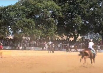 (vid) Πρωτότυπες ιπποδρομίες για τον εορτασμό του Αγίου Γεωργίου - Η αναβίωση ενός εθίμου που έχει ρίζες πολύ βαθιά στο χρόνο