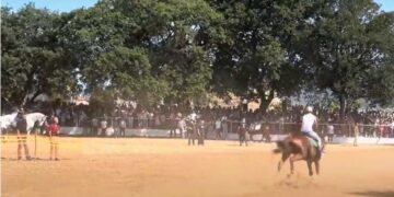 (vid) Πρωτότυπες ιπποδρομίες για τον εορτασμό του Αγίου Γεωργίου - Η αναβίωση ενός εθίμου που έχει ρίζες πολύ βαθιά στο χρόνο