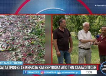 Γρεβενά: Καταστροφές σε κεράσια και βερίκοκα από την χαλαζόπτωση