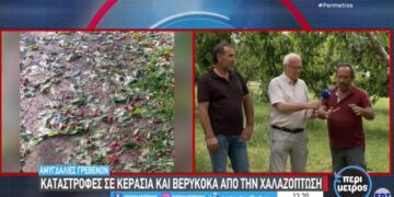 Γρεβενά: Καταστροφές σε κεράσια και βερίκοκα από την χαλαζόπτωση