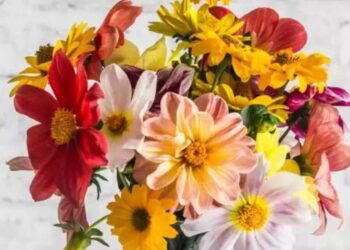 Ζώδια: Προβλέψεις για σήμερα, Τετάρτη 01 Μαΐου 2024