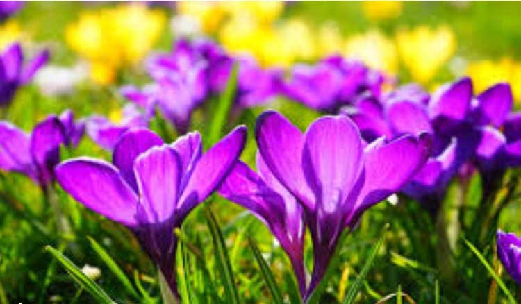 Καλό μήνα! Με υγεία και (μακάρι) ευχάριστες ειδήσεις!