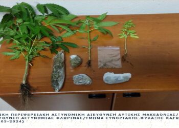 Συνελήφθη 57χρονος στη Φλώρινα που είχε στην κατοχή του 15 γρ. ακατέργαστης κάνναβης