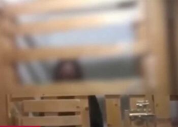 Καλαμάτα: Συνελήφθησαν οι γονείς της 29χρονης που ζούσε σε ξύλινο κλουβί