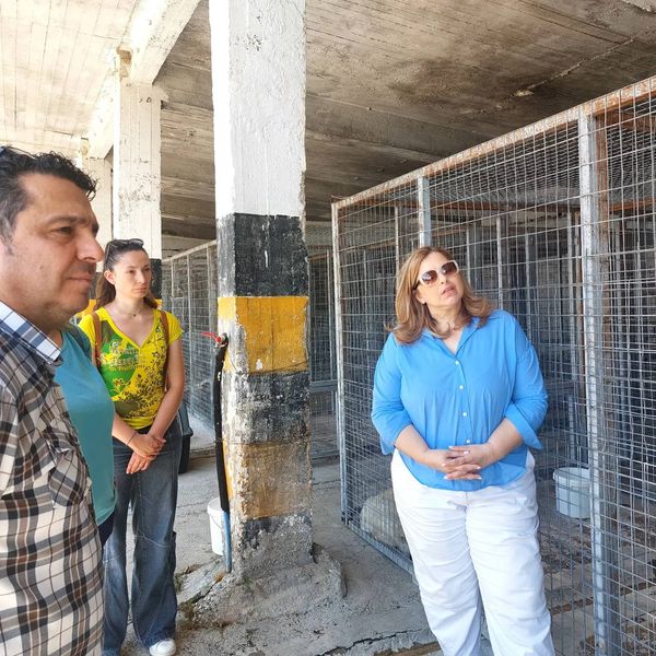 To Καταφύγιο Αδέσποτων Ζώων του Δήμου Κοζάνης επισκέφθηκε η Ειδική Γραμματέας του Υπουργείου Εσωτερικών για την Προστασία των Ζώων Συντροφιάς
