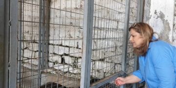 To Καταφύγιο Αδέσποτων Ζώων του Δήμου Κοζάνης επισκέφθηκε η Ειδική Γραμματέας του Υπουργείου Εσωτερικών για την Προστασία των Ζώων Συντροφιάς