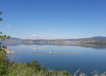 1ος διασυλλογικός διαγωνισμός αθλητικής αλιείας κυπρίνου στη λίμνη Βεγορίτιδα