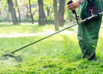 Χρήσιμος οδηγός για τα ακαθάριστα οικόπεδα: Τι κάνουμε με τις δηλώσεις – Πρόστιμα από 1.000 ευρώ στους… απείθαρχους