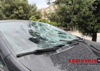 16χρονος προσπάθησε να αποφύγει επίθεση σκύλου και έπεσε πάνω σε αυτοκίνητο- Σοβαρά τραυματισμένος