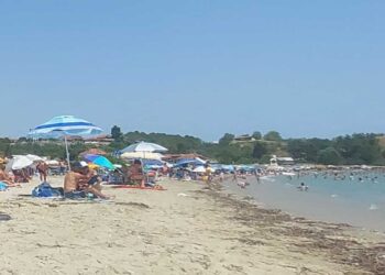 "Ανάσες δροσιάς" στην Παραλία Βεργιάς της Χαλκιδικής! (της Κούλας Πουλασιχίδου)