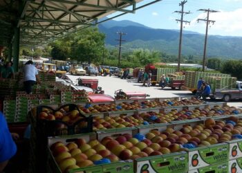 Στα μεγάλα brand των αγροτικών συνεταιρισμών ο ΑΣΕΠΟΠ Βελβεντού