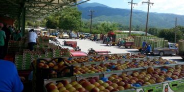 Στα μεγάλα brand των αγροτικών συνεταιρισμών ο ΑΣΕΠΟΠ Βελβεντού