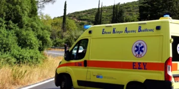 Τραγωδία στην Εύβοια: 17χρονος που είχε πάρει την νταλίκα του πατέρα του, παρέσυρε και σκότωσε 16χρονο