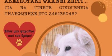 Δήμος Κοζάνης: «Υιοθέτησε ένα αδεσποτάκι» – Κάλεσε στο 2461350457 (Φωτογραφίες)