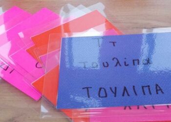 Εγκαινιάστηκε η μεγάλης παιδαγωγικής αξίας "Πολυθεματική Αυλή" του 10ου Νηπιαγωγείου Πτολεμαΐδας! (της Κούλας Πουλασιχίδου)
