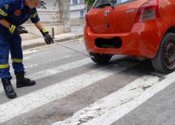 Φίδι σε αυτοκίνητο έξω από το νοσοκομείο Κοζάνης-Πώς απομακρύνθηκε από την Πυροσβεστική