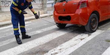 Φίδι σε αυτοκίνητο έξω από το νοσοκομείο Κοζάνης-Πώς απομακρύνθηκε από την Πυροσβεστική