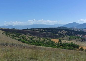 Φωτιά στον Αη- Λια της Κοζάνης- Έκαψε χόρτα, δεν κινδύνευσαν κατοικίες- Μεγάλη κινητοποίηση της Πυροσβεστικής(φώτο)