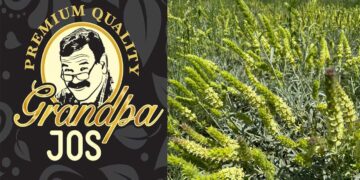 “Τσάι Του Βουνού “Grandpa JOS”: Προσφέρονται θέσεις εργασίας για εργάτες γης