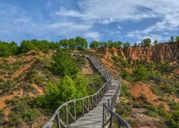 H φωτογραφία της ημέρας - Μπουχάρια Μικρόβαλτου!