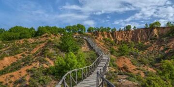 H φωτογραφία της ημέρας - Μπουχάρια Μικρόβαλτου!