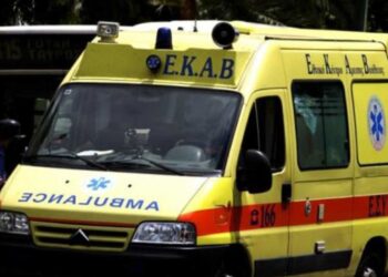 Καστοριά: Νέο σοβαρό τροχαίο με ζώο: Εσπευσμένα στο Παπανικολάου 38χρονος με σοβαρό τραύμα στο κεφάλι