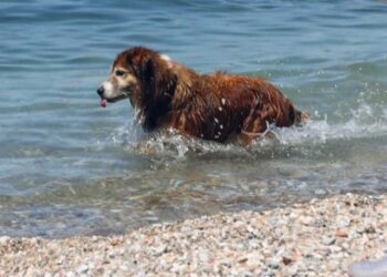 Κλέαρχος Μαρουσάκης: Υποχωρεί για να ξαναέρθει ο καύσωνας, πότε θα ξαναέχουμε 38αρια