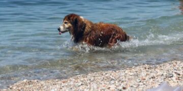 Κλέαρχος Μαρουσάκης: Υποχωρεί για να ξαναέρθει ο καύσωνας, πότε θα ξαναέχουμε 38αρια