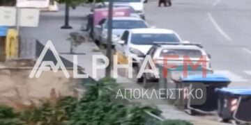 Κορησός Καστοριάς: Δείτε το επίμαχο video με την αρκούδα να κόβει βόλτες στις 6 το πρωί σε κατοικημένη περιοχή