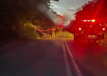 Ξερίζωσε δέντρα στην Πτολεμαΐδα και την Κοζάνη η χθεσινή απότομη κακοκαιρία