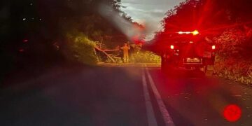 Ξερίζωσε δέντρα στην Πτολεμαΐδα και την Κοζάνη η χθεσινή απότομη κακοκαιρία