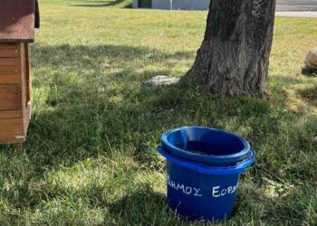 Μέτρα Δήμου Εορδαίας για ανακούφιση των αδέσποτων ζώων από τον καύσωνα