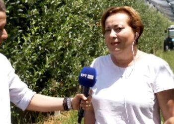 Από στέλεχος πολυεθνικής στην Αθήνα, μηλοπαραγωγός σε χωριό της Καστοριάς