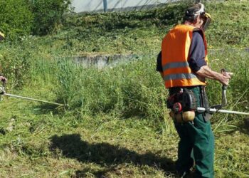 Οδηγίες για την ηλεκτρονική δήλωση καθαρισμού ακινήτων (λήγει η υποβολή στις 30/6)